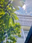 PrimeBiz Tegal