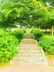 Rongyu International Hotel (Jishhou Municipal Government Ganzhou Ancient City Branch)