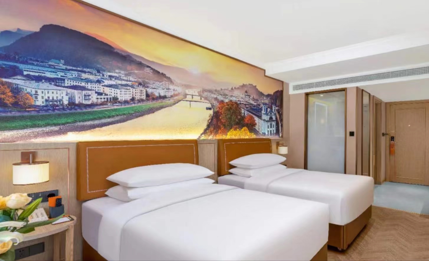 高级双床房（智能客控）