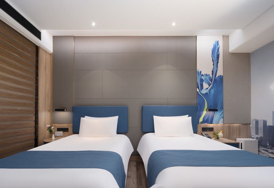 特惠双床房（负离子净化器+零压床垫）