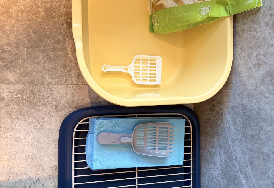 宠伴时光房【爱宠共眠·森呼吸客房】空气净化安睡系统