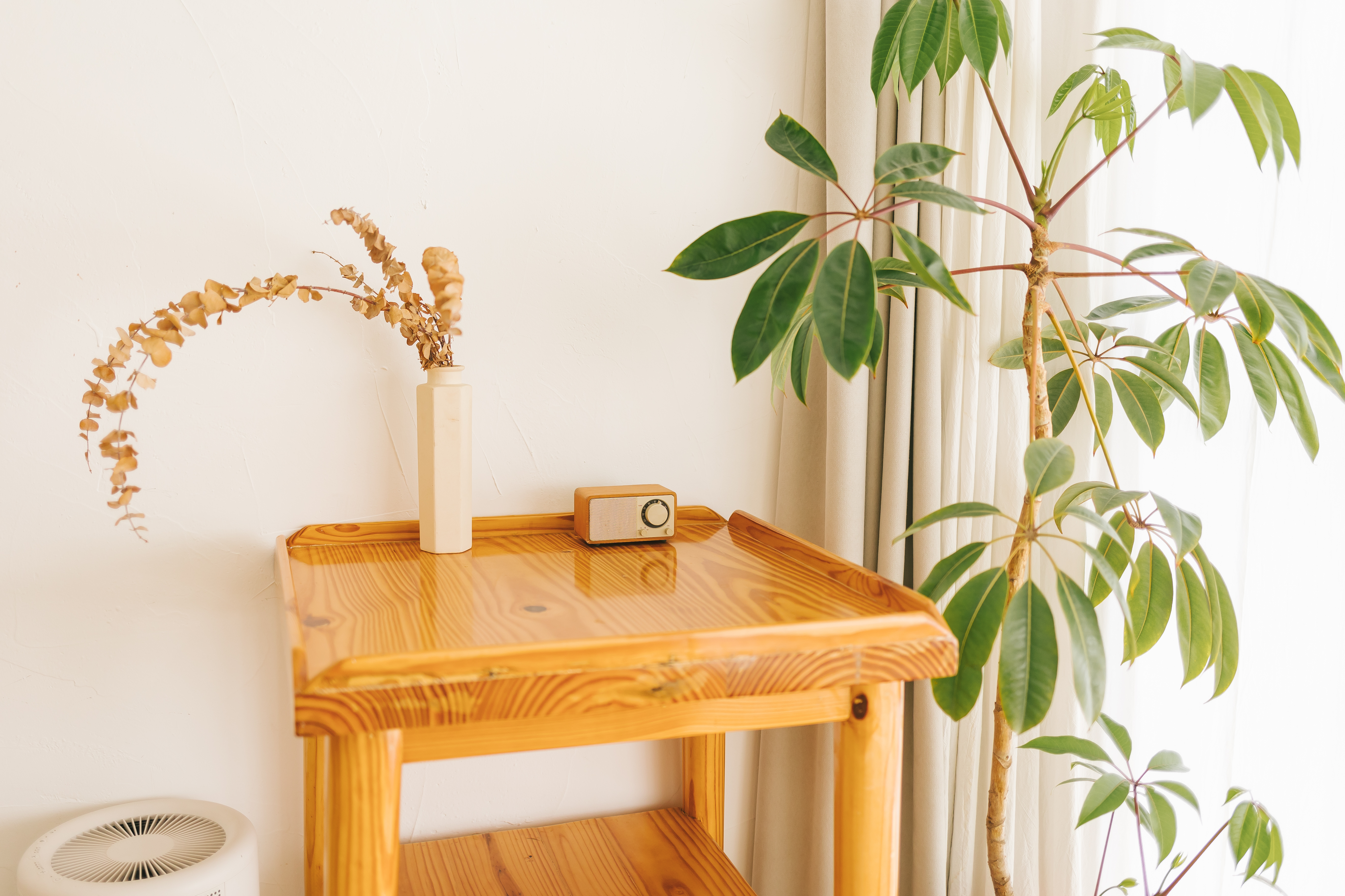 紫苏｜「超大弧形落地窗·loft复式设计」