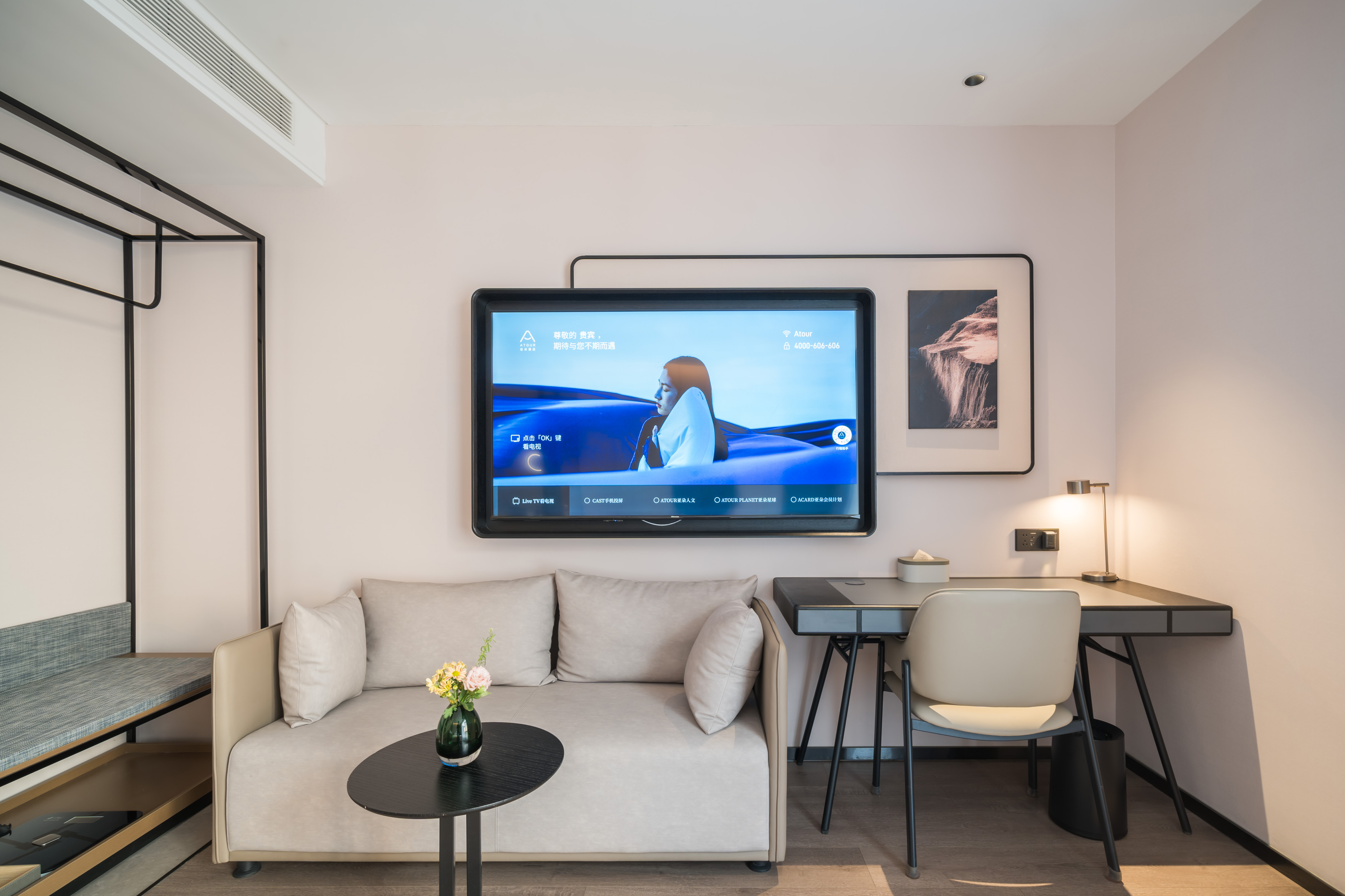 高级大床房（小冰箱+全屋智能+手机投屏）