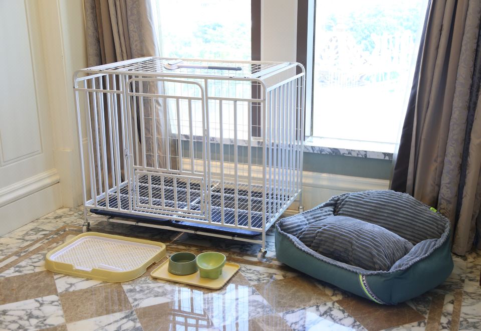 汪汪寵物友好房【汪汪蝸居+寵物玩具】