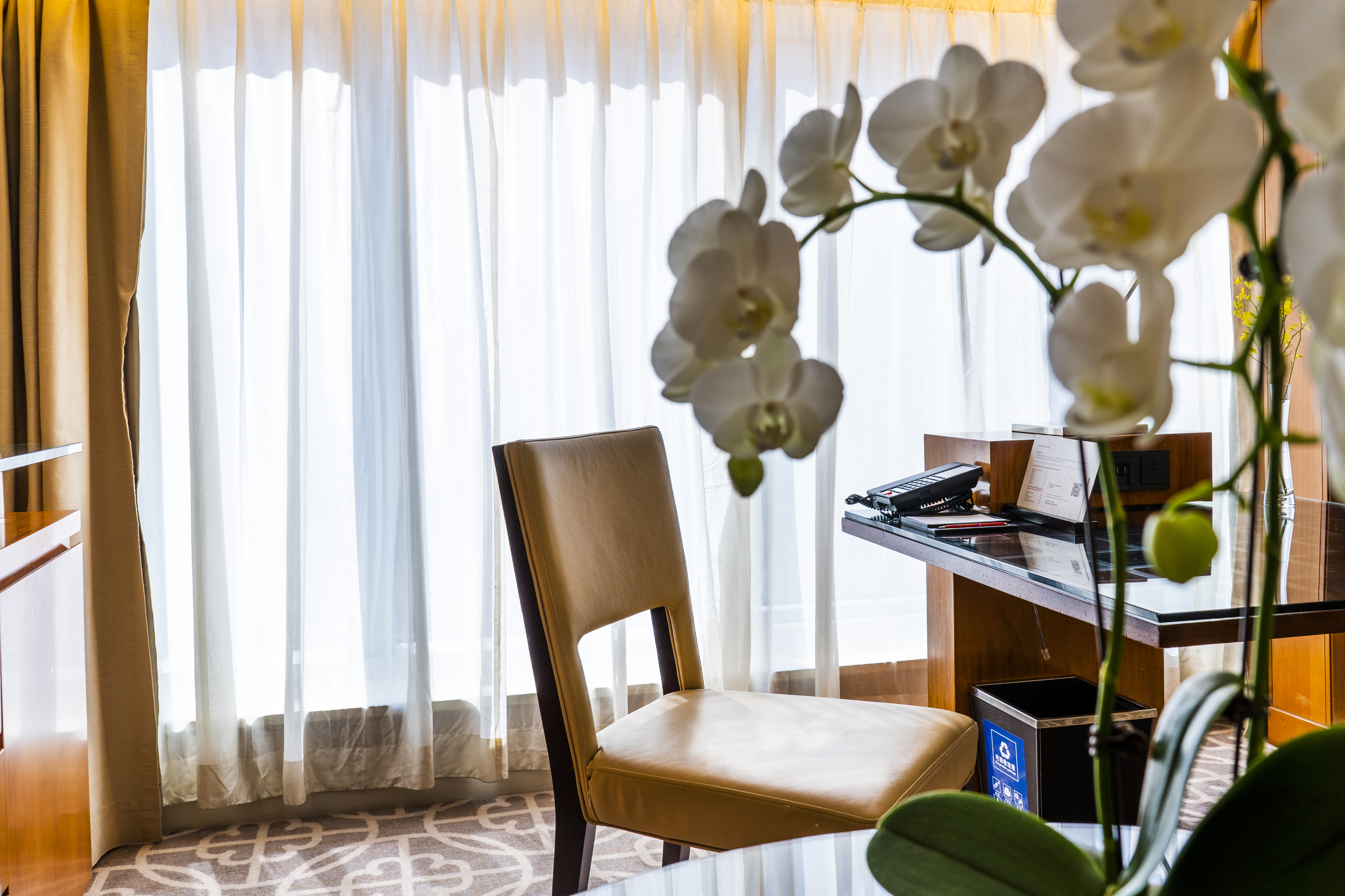 公寓客房（大床）