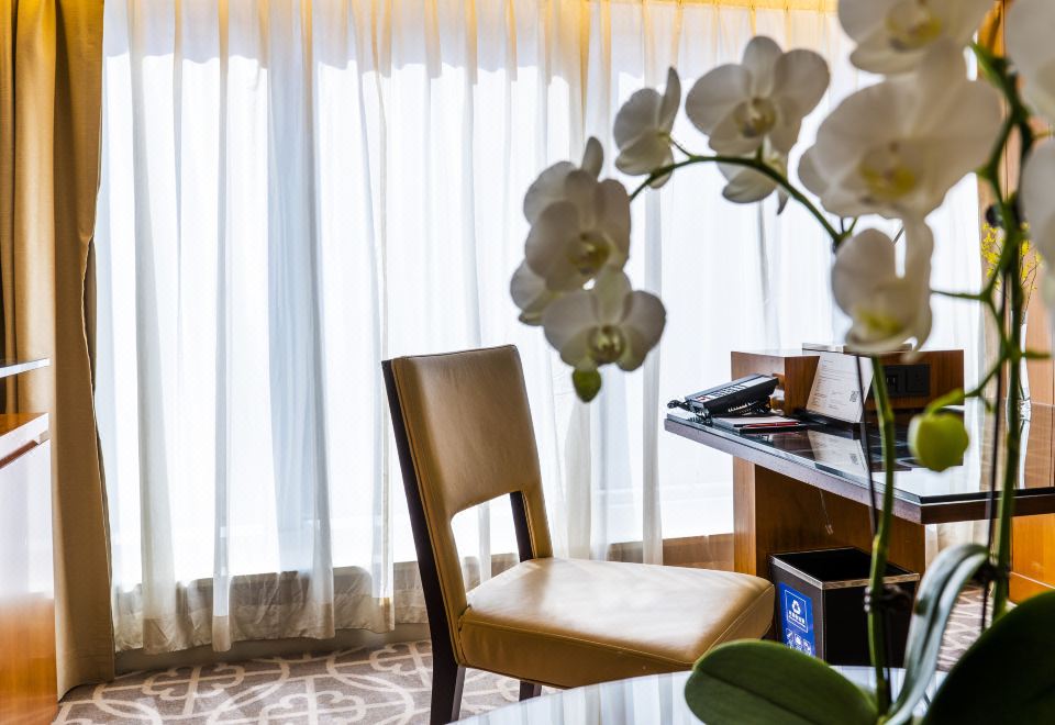 公寓客房（大床）