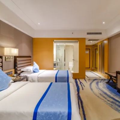 商務雙床房 瑞能CEO國際飯店（合肥南站寧國路美食街店）優惠