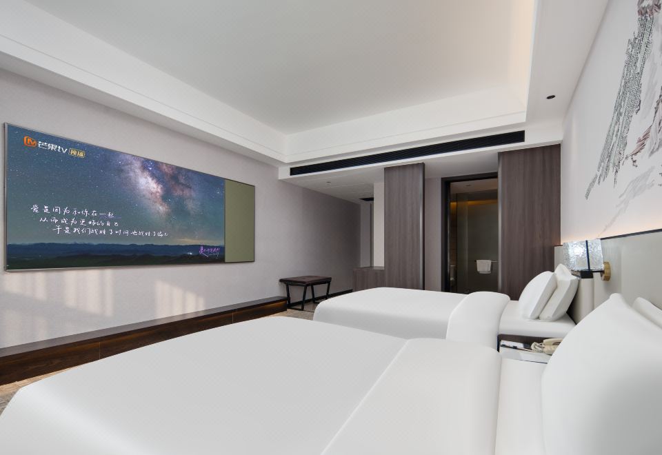 巨幕影音双床房