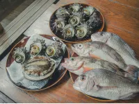 佐渡/整棟包租古民宅　海景房　和服體驗　　海邊故事椿　獨立小屋