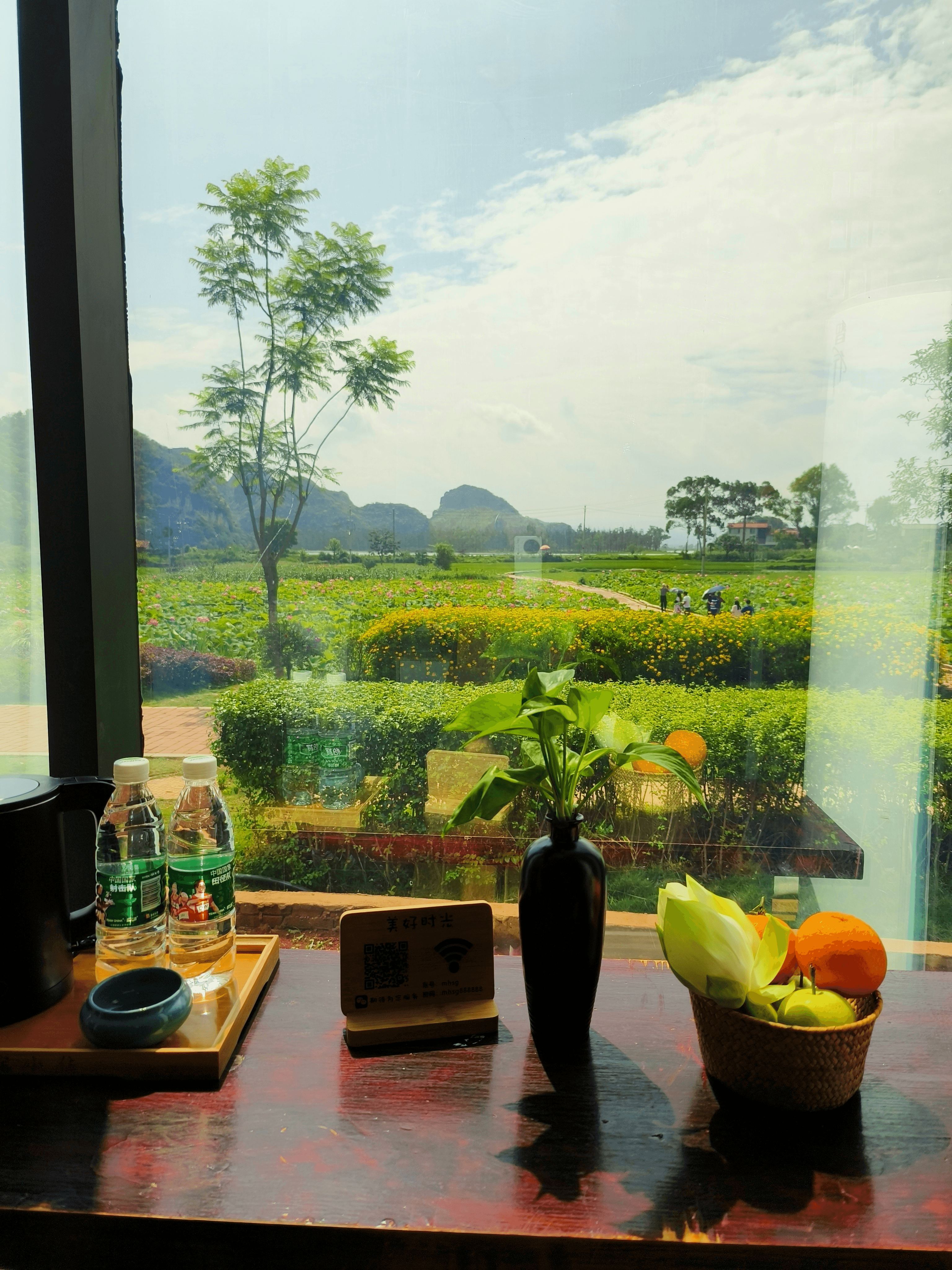 Happy Time Inn Puzhehei观景赏荷大床房