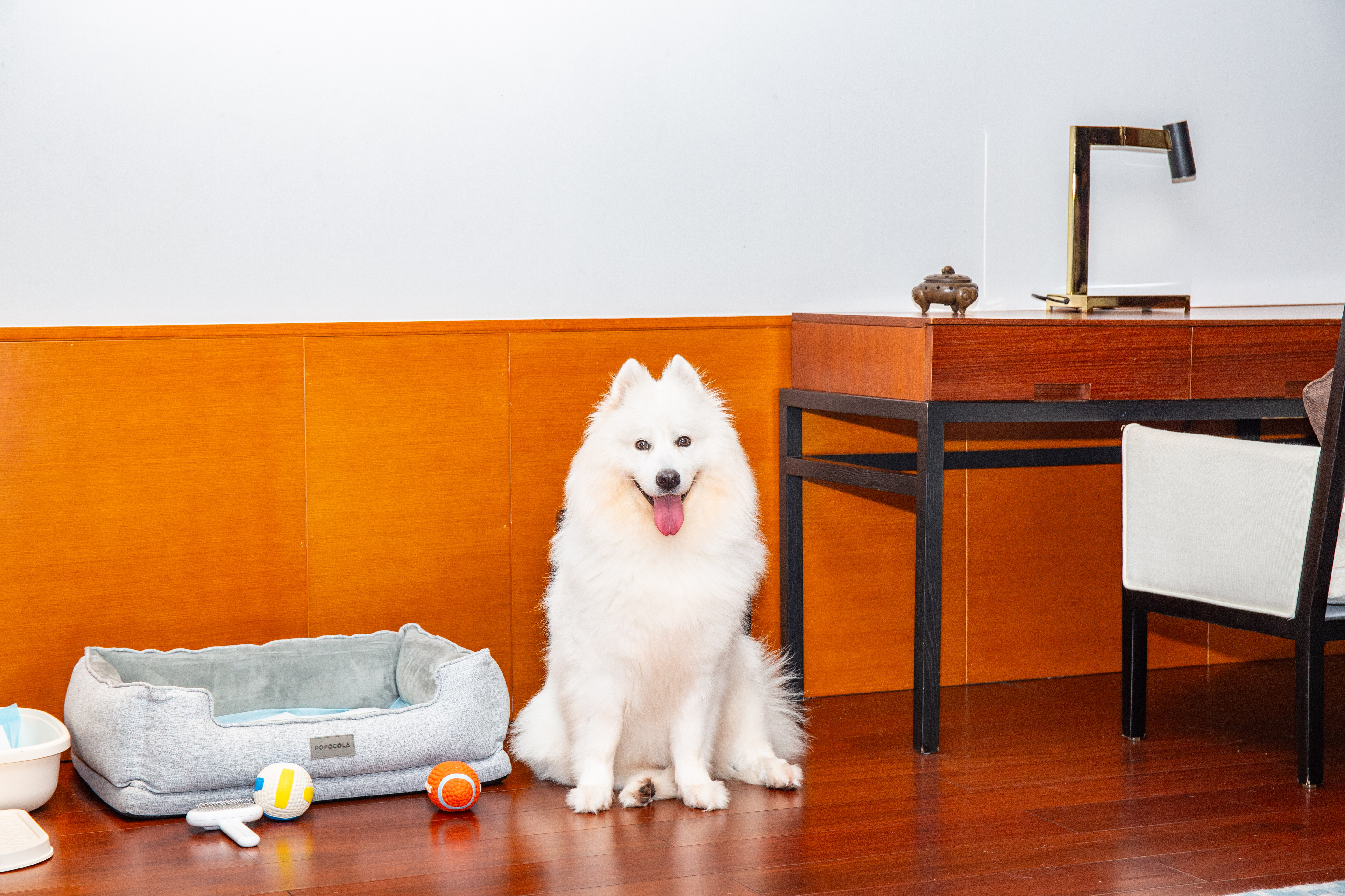 Bay Breeze Resort Shenzhen豪华宠物别墅套房