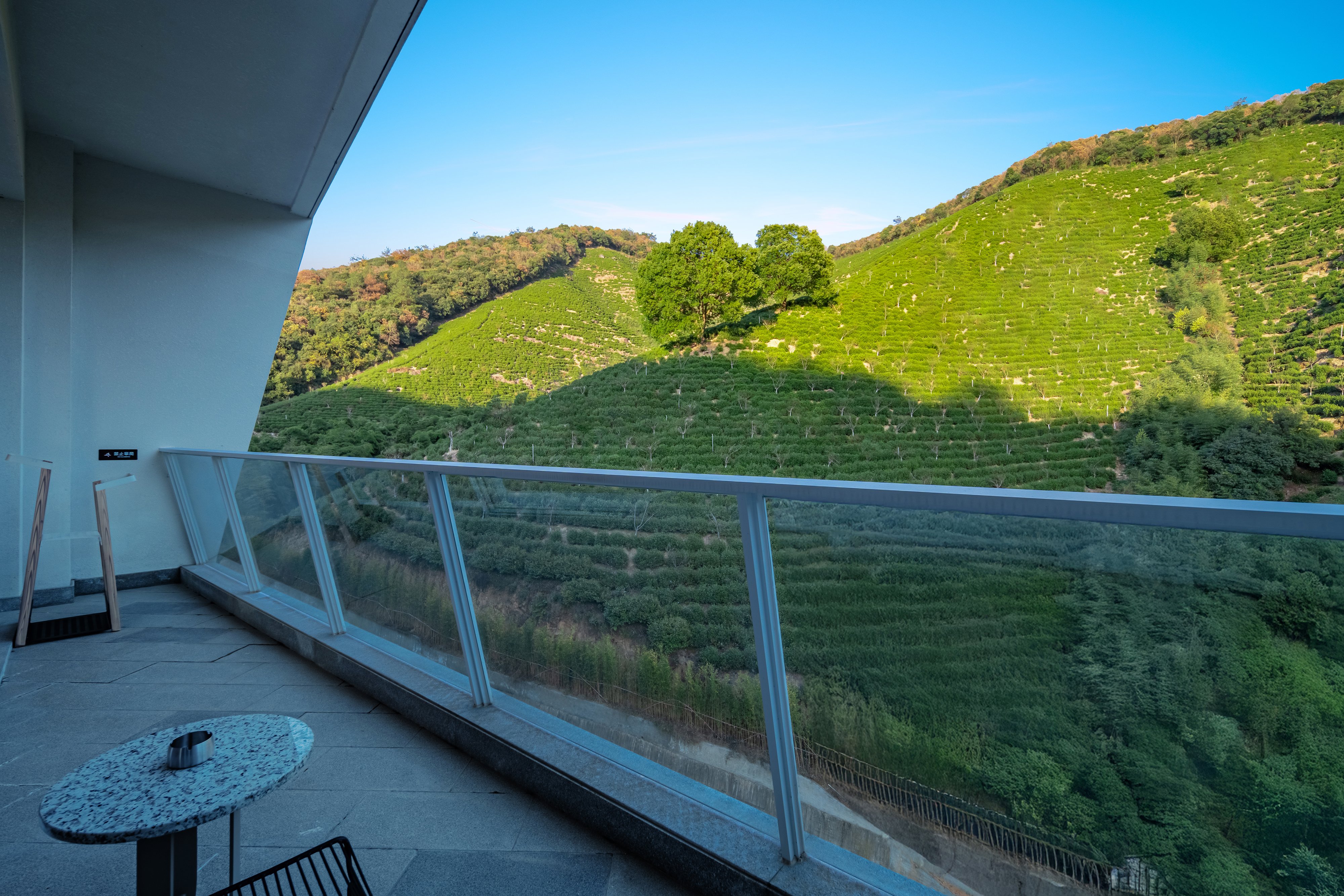 望山楼·至尊全景大床房