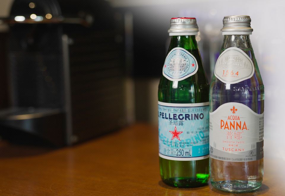 供氧珠穆朗瑪布宮景套房