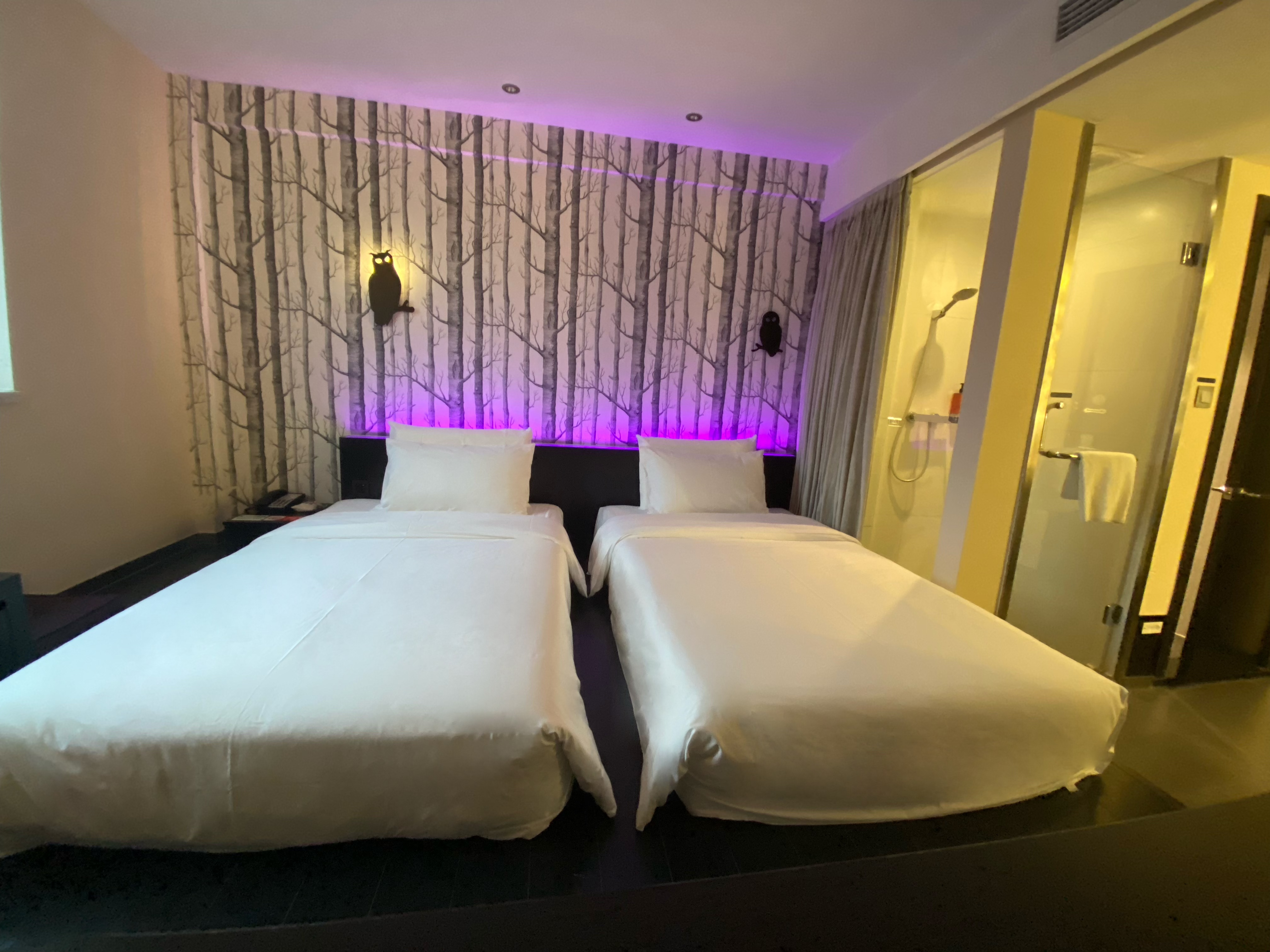 榻榻米双床房（小冰箱）