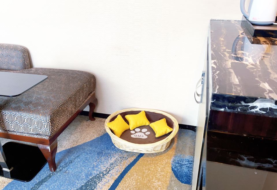 萌寵友好房（萌寵窩墊+玩具+食盆+溜寵物件）