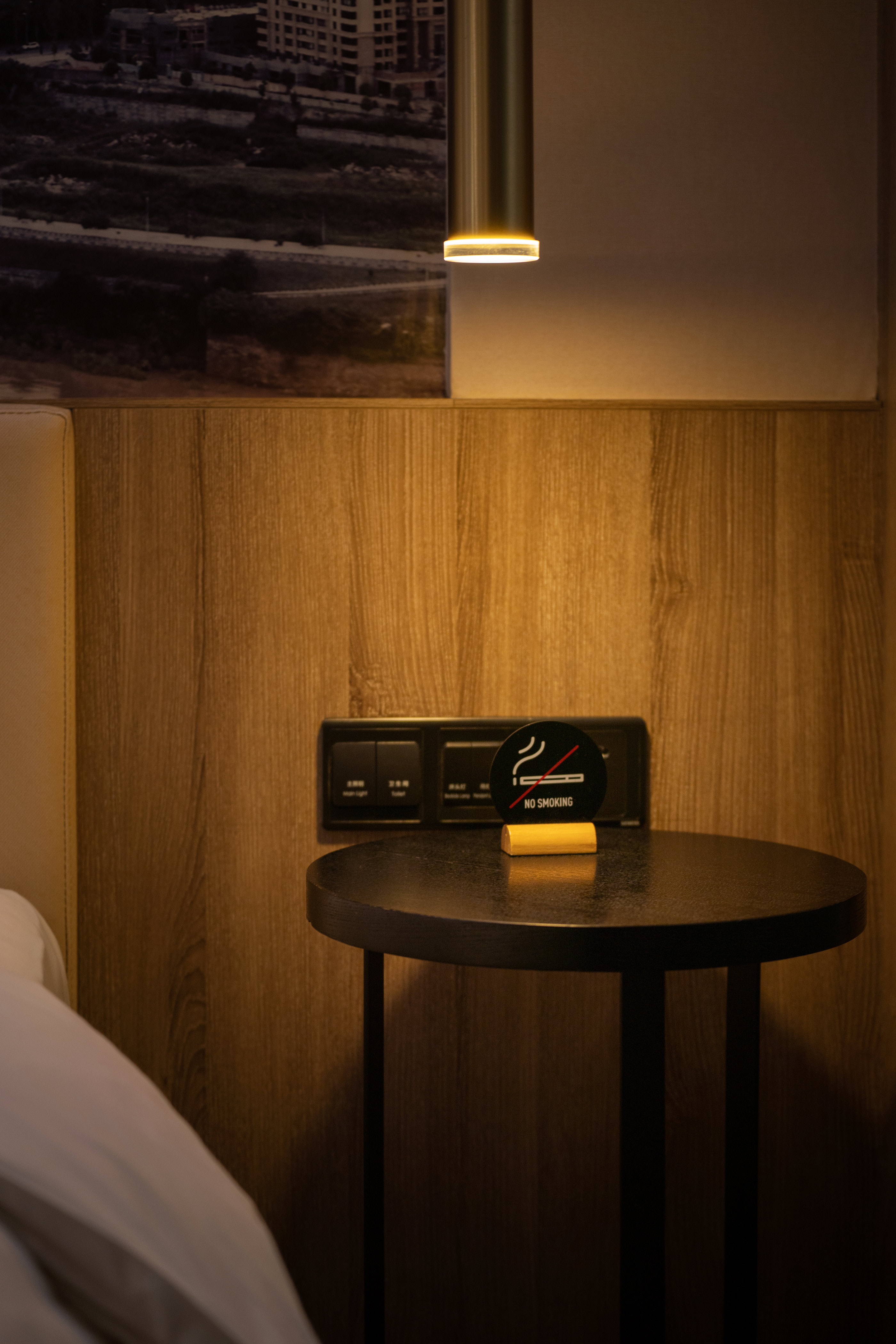 雅致大床房（LaiFen吹风+空气净化器）