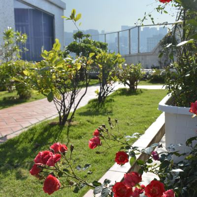 花園套房 汕頭金海灣大飯店優惠