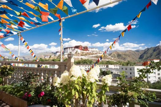 Chao Ye Rich Oxygen Observation Hotel (Lhasa Potala Palace)