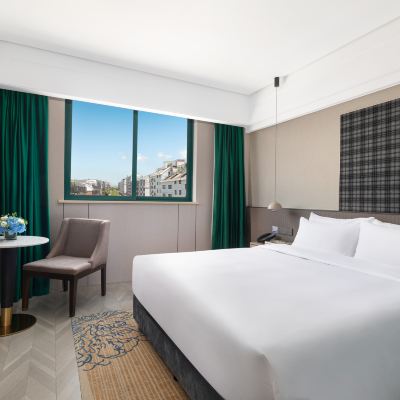 高級大床房（情景智控） 巴里島雅庭飯店（義烏國際商貿城店）優惠