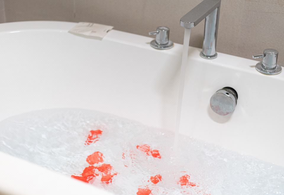 高級精品大床房（浴缸+慕斯床墊+零壓枕頭+mini吧+無窗）