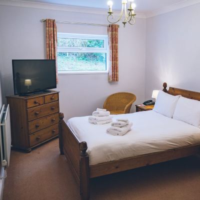 Economy Double Room Ramada Resort by Wyndham Cwrt Bleddyn Hotel & Spa Promo Code