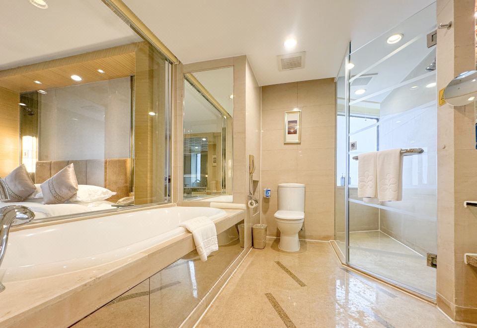 尊享·行政高级套房（会客厅,德国GROHE花洒,双衞）