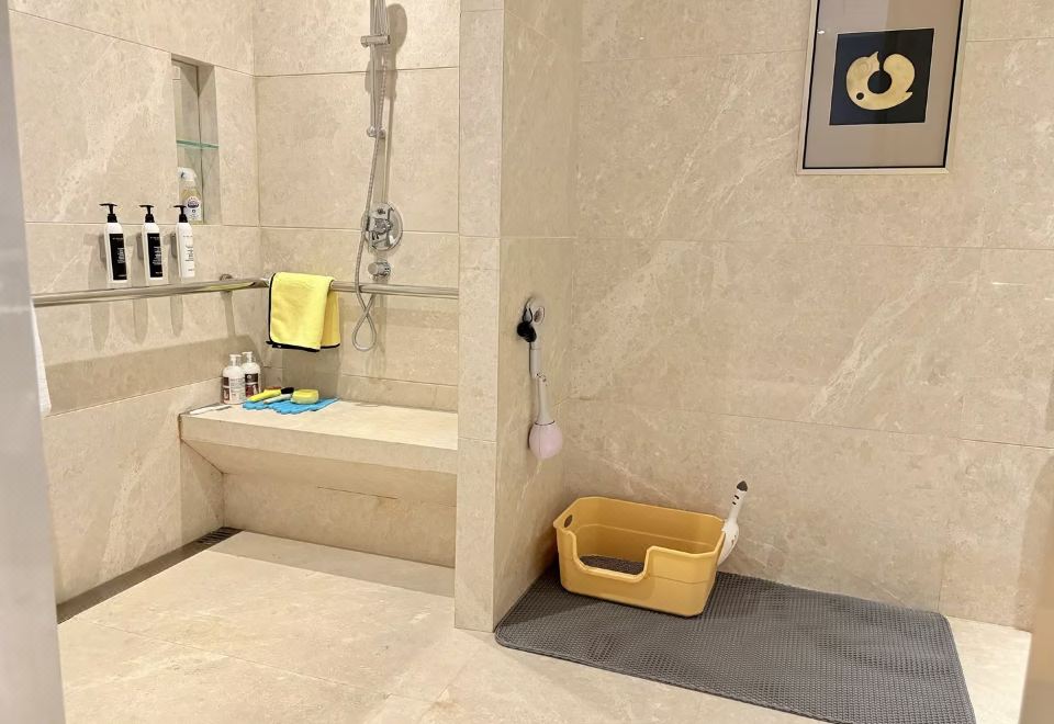 豪华大床房-宠物友好