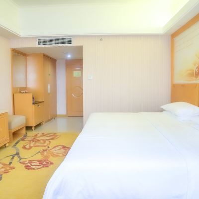 豪華家庭房（釋壓大床+温馨舒適+雅緻舒眠） 開平威爾遜酒店優惠