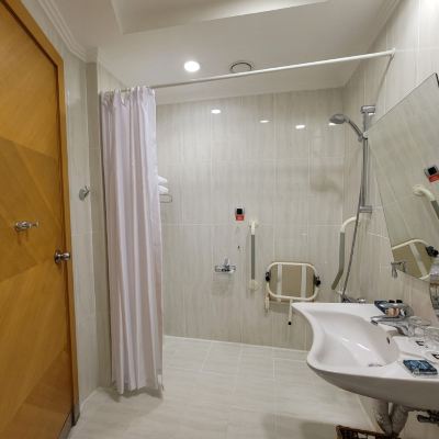 無障礙特大床非吸煙山景房 伊茲密爾奧迪萊克温德姆大酒店優惠