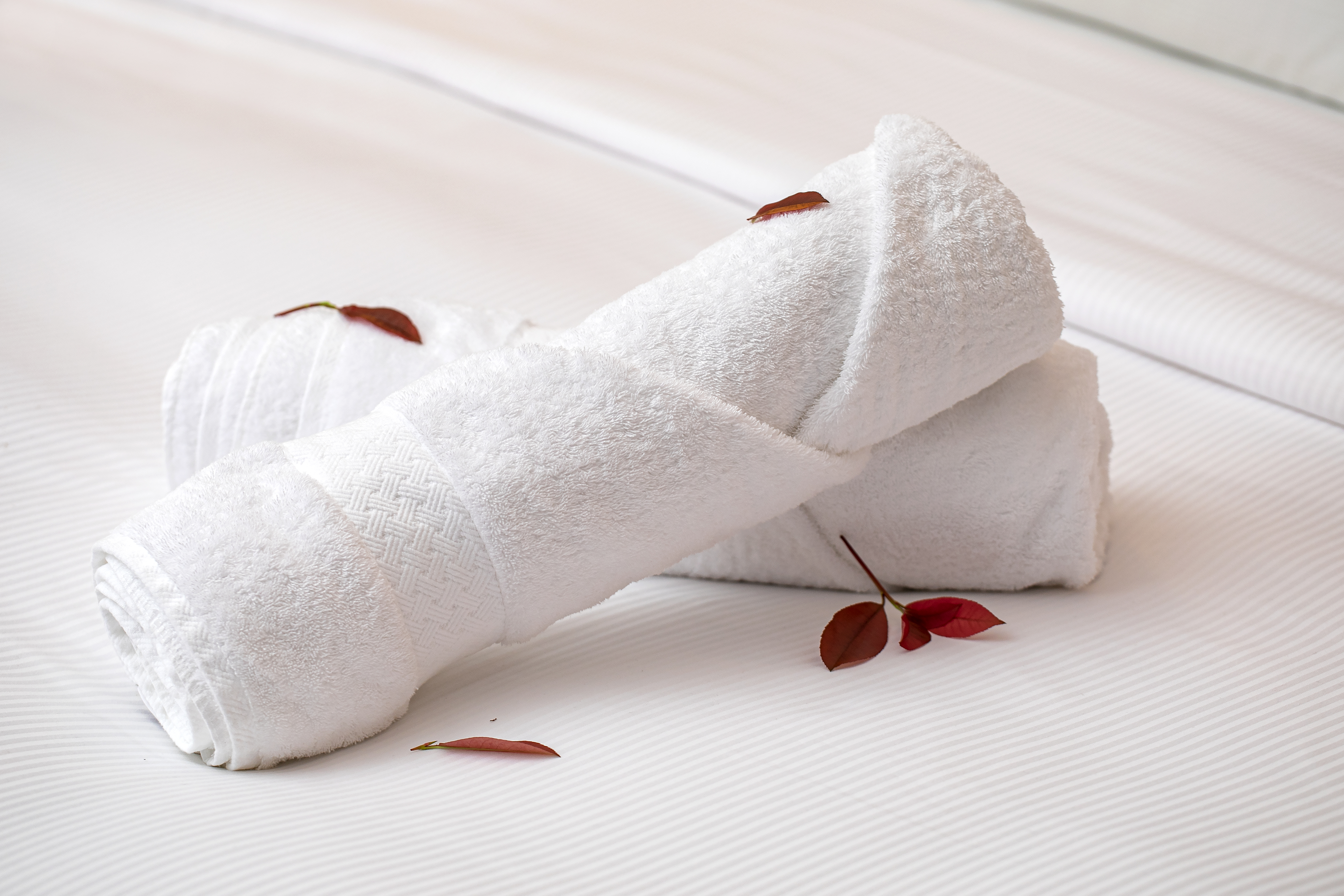 臻選行政雙床房（金可兒床墊+康乃馨布草+迷你冰箱）