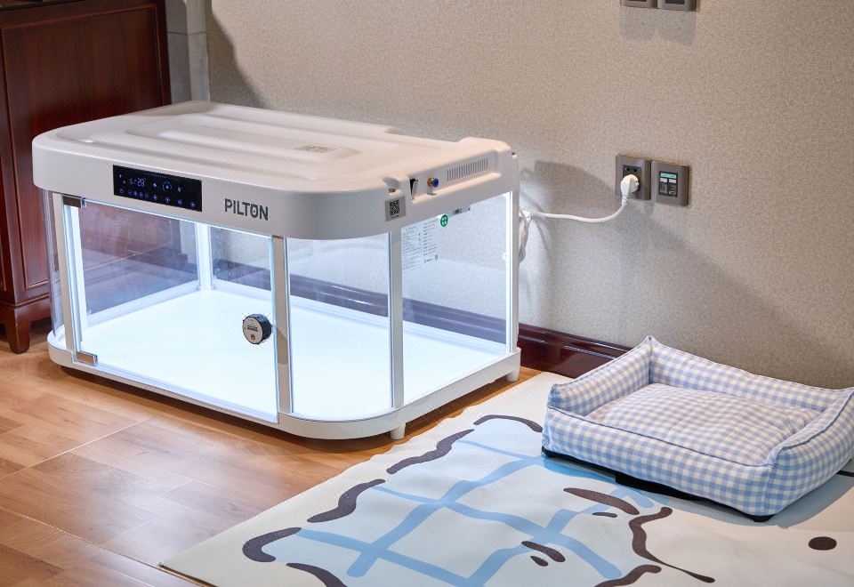 Wyndham Grand Plaza Royale ChenzhouPet-Friendly Twin Room - Dog Exclusive