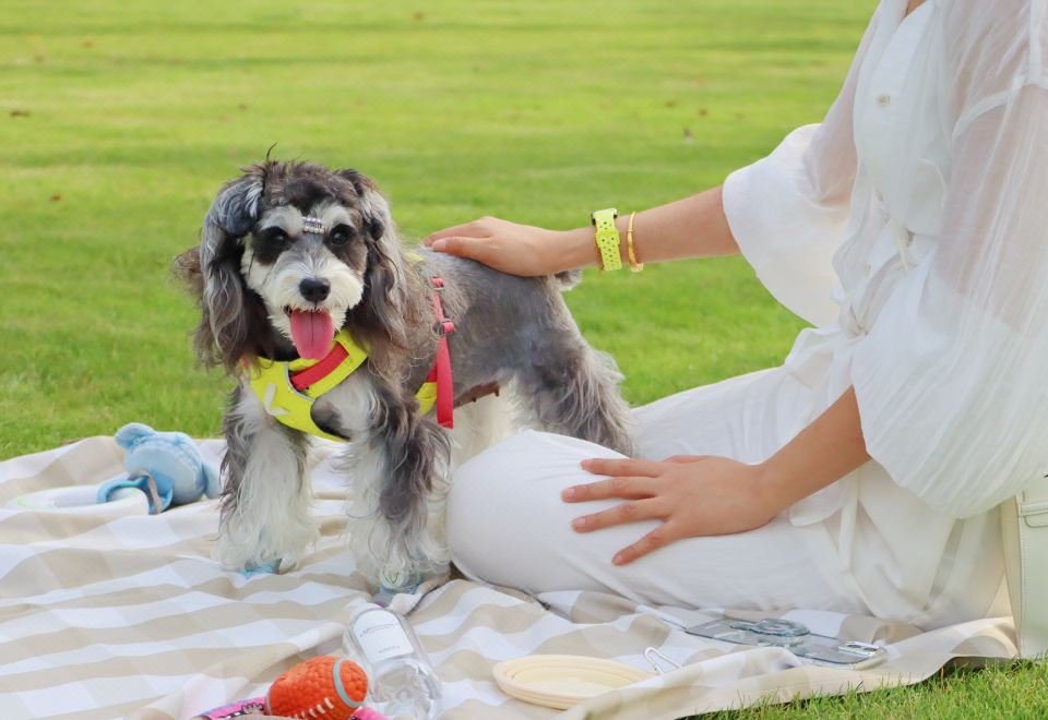 Fairmont Yangcheng Lake KunshanPet-Friendly Double Bed Room