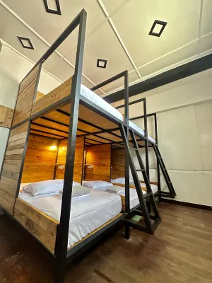 Yellow Umbrella Hostels Hotels in 