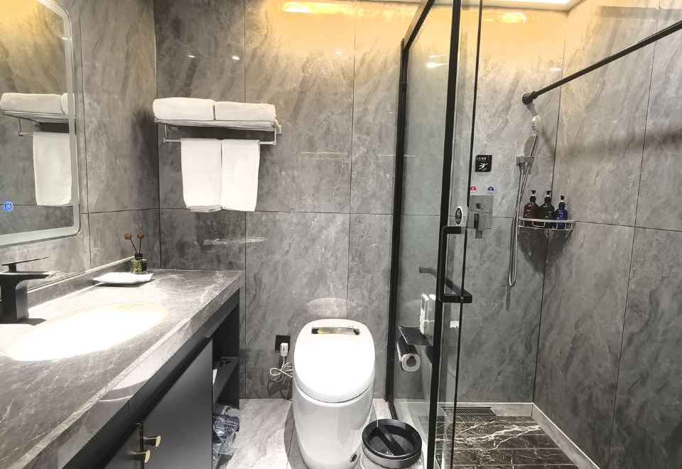 凈化輕雅雙床房