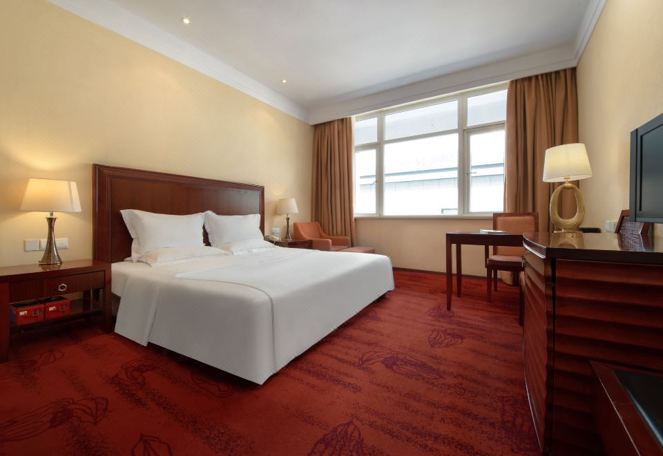 5号楼雅致大床房