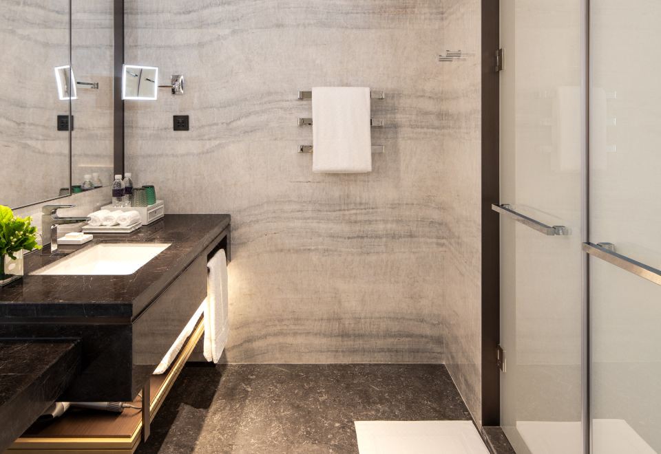 豪華公園景觀雙床房