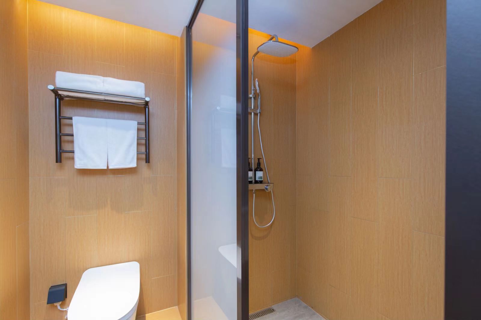 商务双床房（智能客控+手机投屏+落地窗+金可儿床垫）