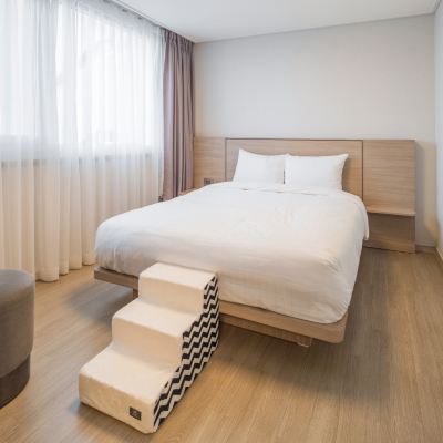 휴그린 스위트 펫룸 금호 설악 리조트 쿠폰