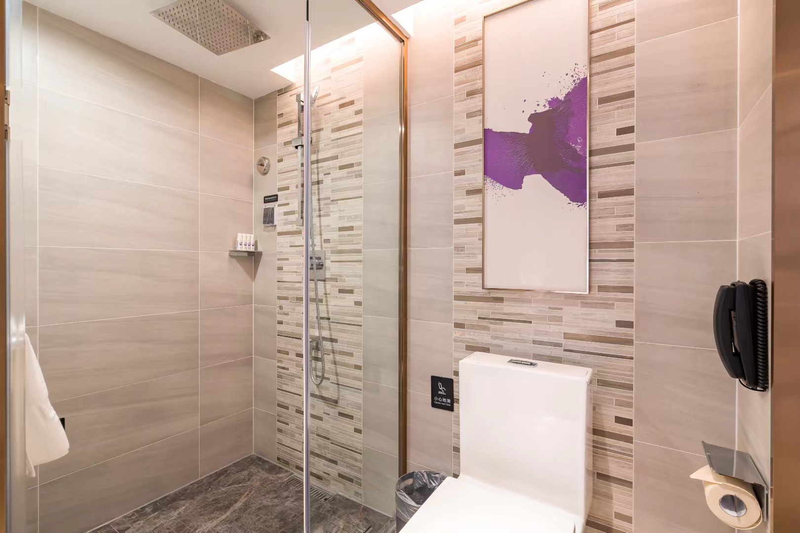 商务双床房（智能客控）