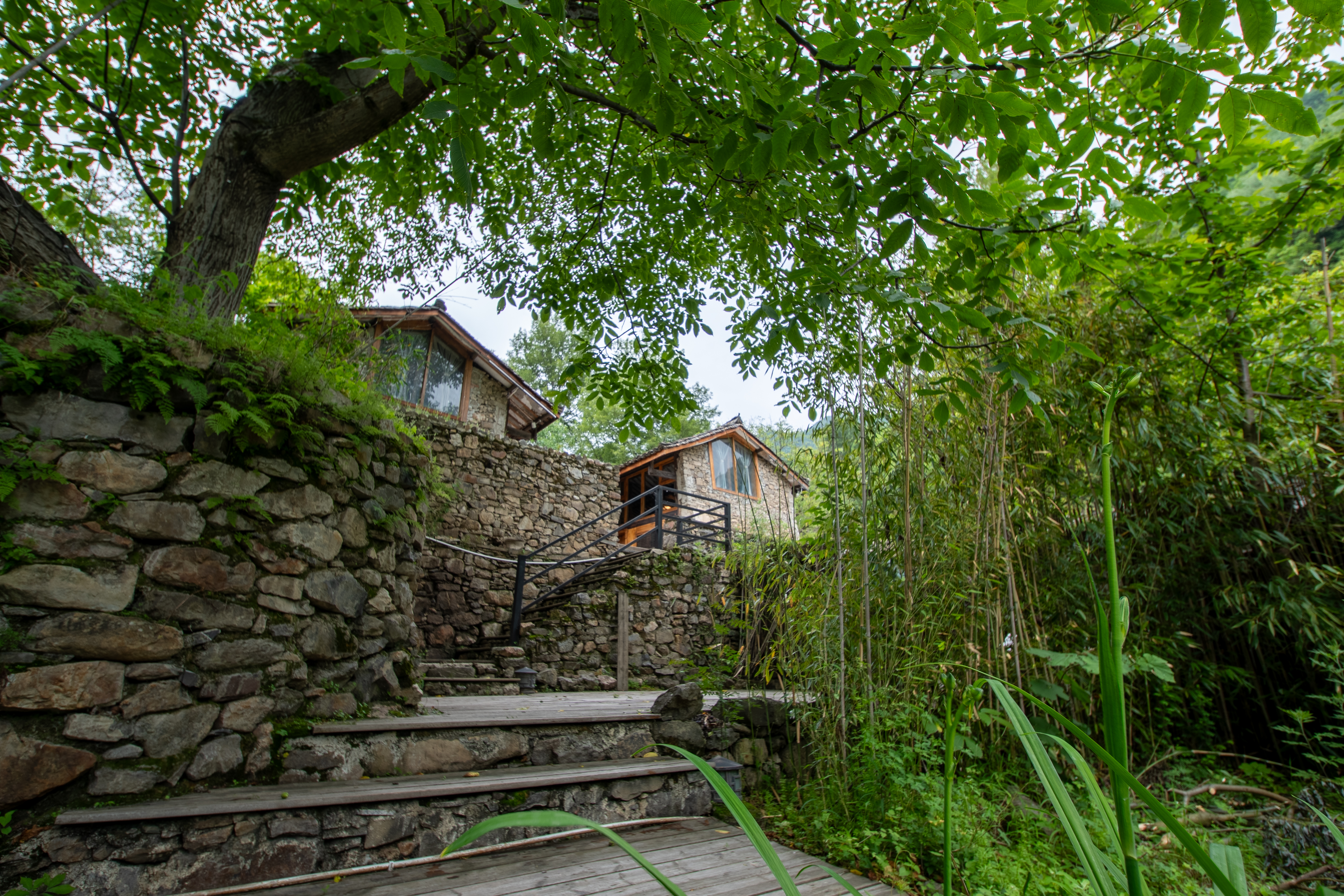 别院独栋一号院