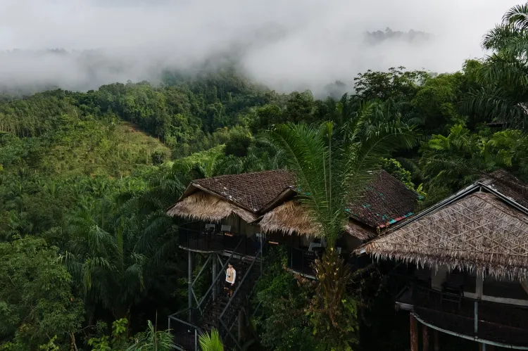 ห้องดีลักซ์ เตียงใหญ่ 1 เตียง