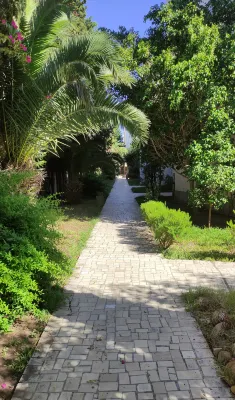 Apartment in Yasmine Hammamet Near the Beach and Marina のホテル