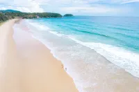 布吉塔夫棕櫚海灘度假村