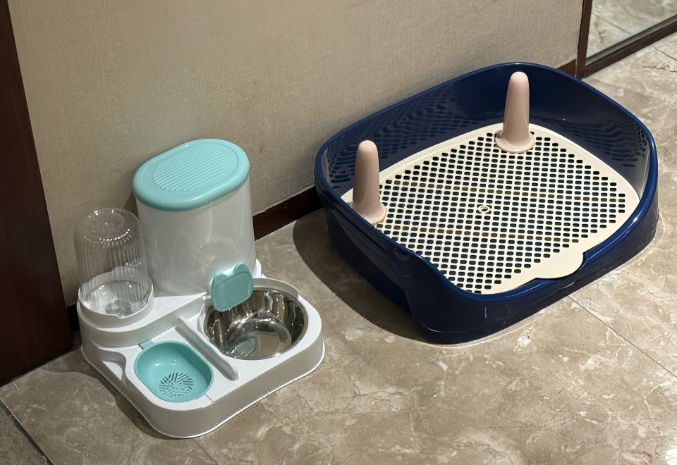 萌宠主题双床房