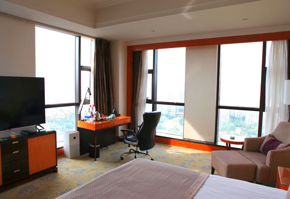 雅致城景单人间