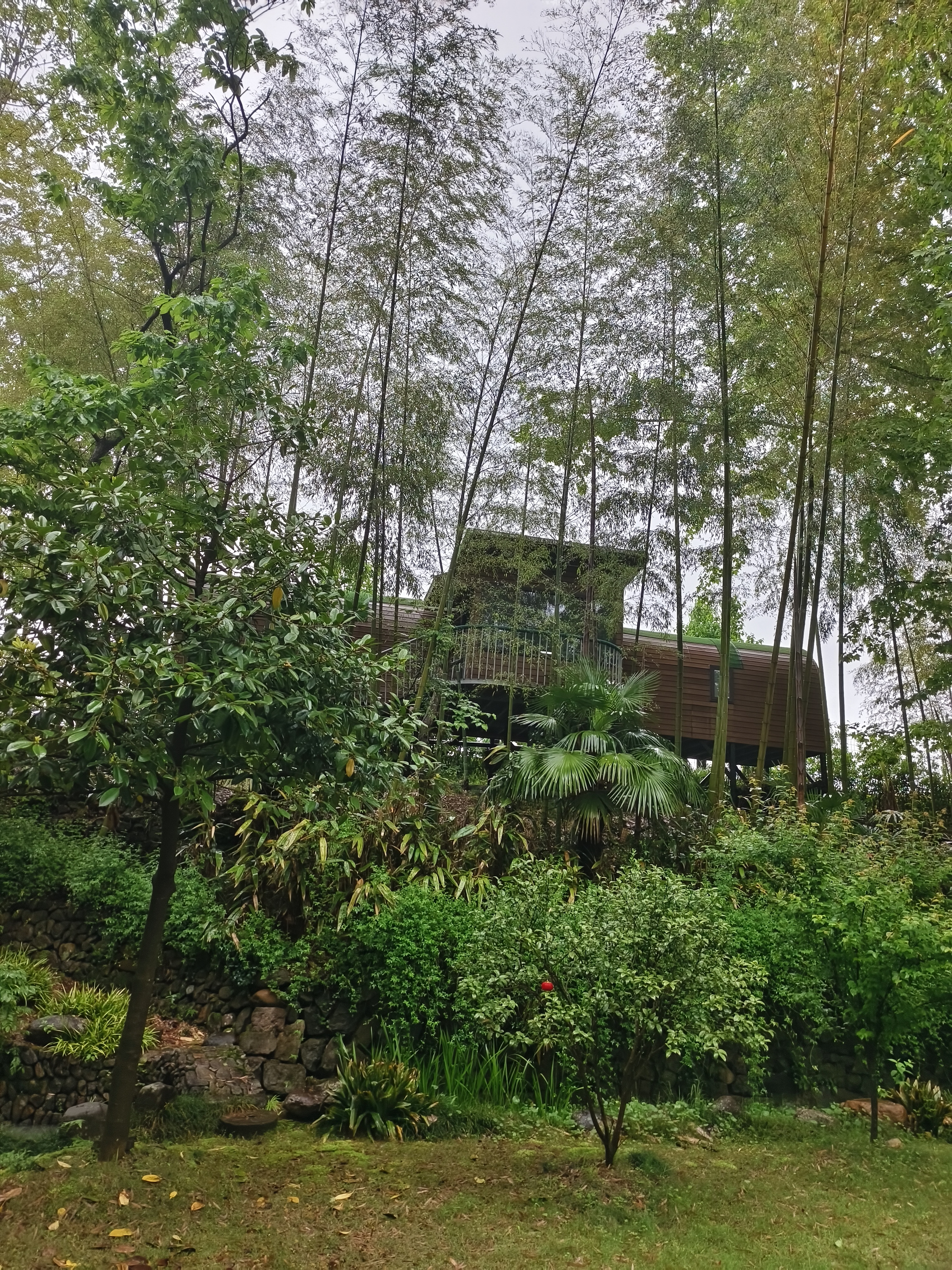 隐林木屋大床房+山景+乳胶床垫+地暖