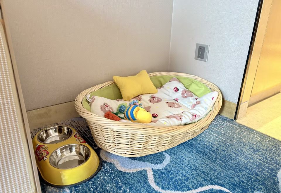 豪华大床房-宠物友好