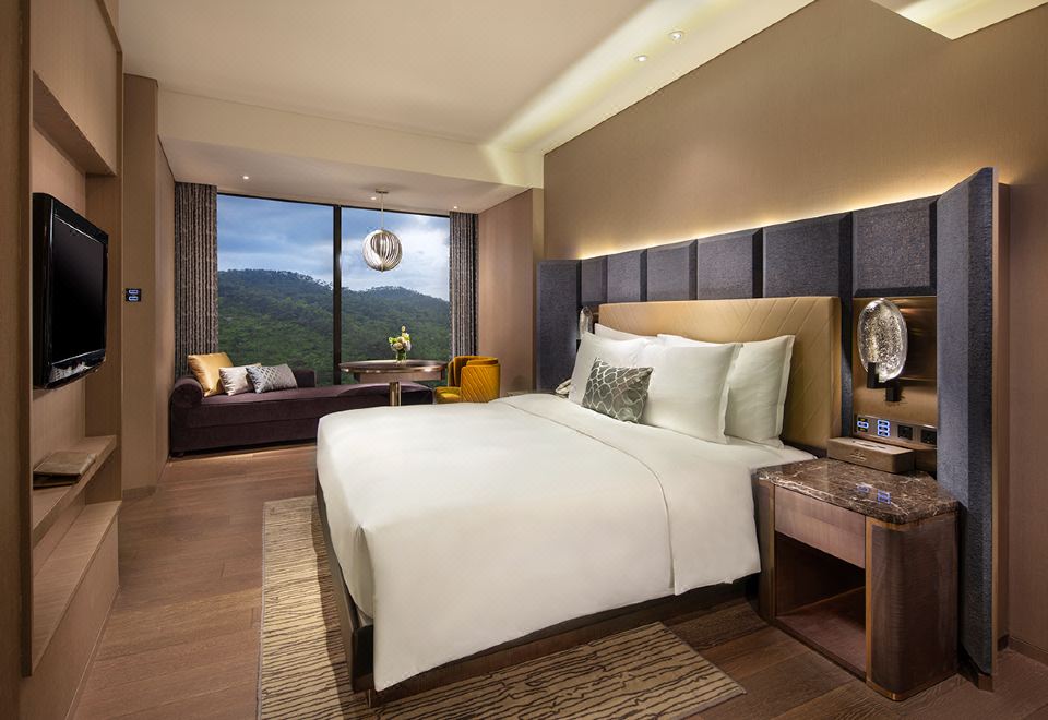 豪華山景大床房（療愈舒緩）