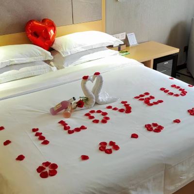 浪漫優享房 麗楓飯店（東莞虎門萬達廣場店）優惠