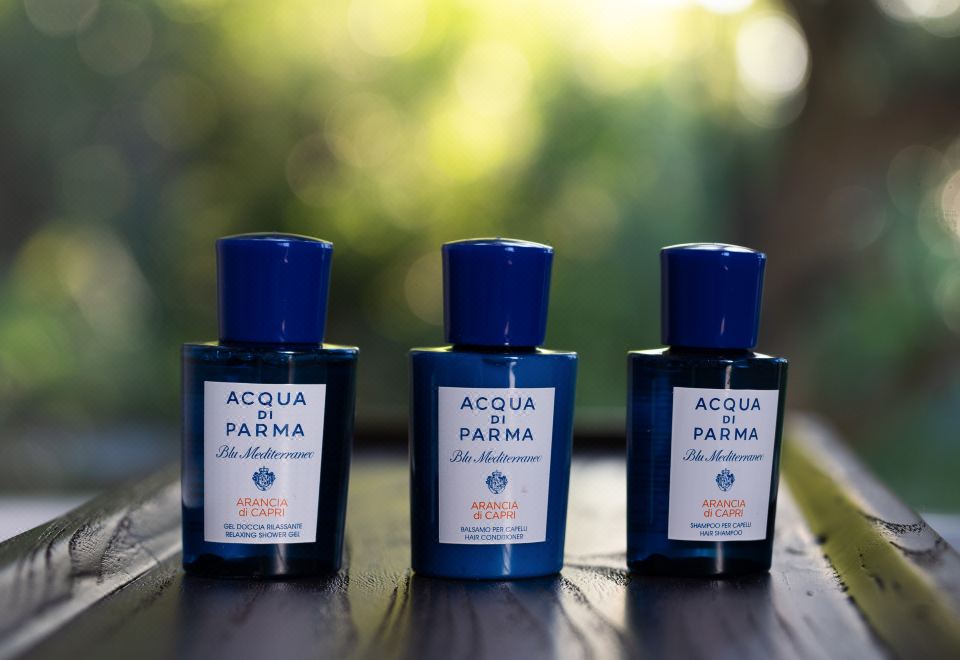 柏露·山景露臺雙床房